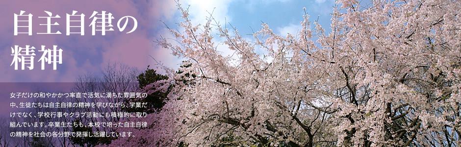 博发首页会员登录